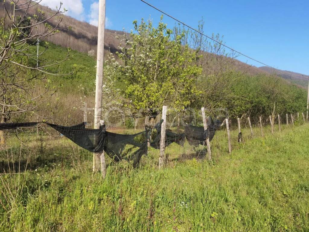 immagine annuncio 6 di 8