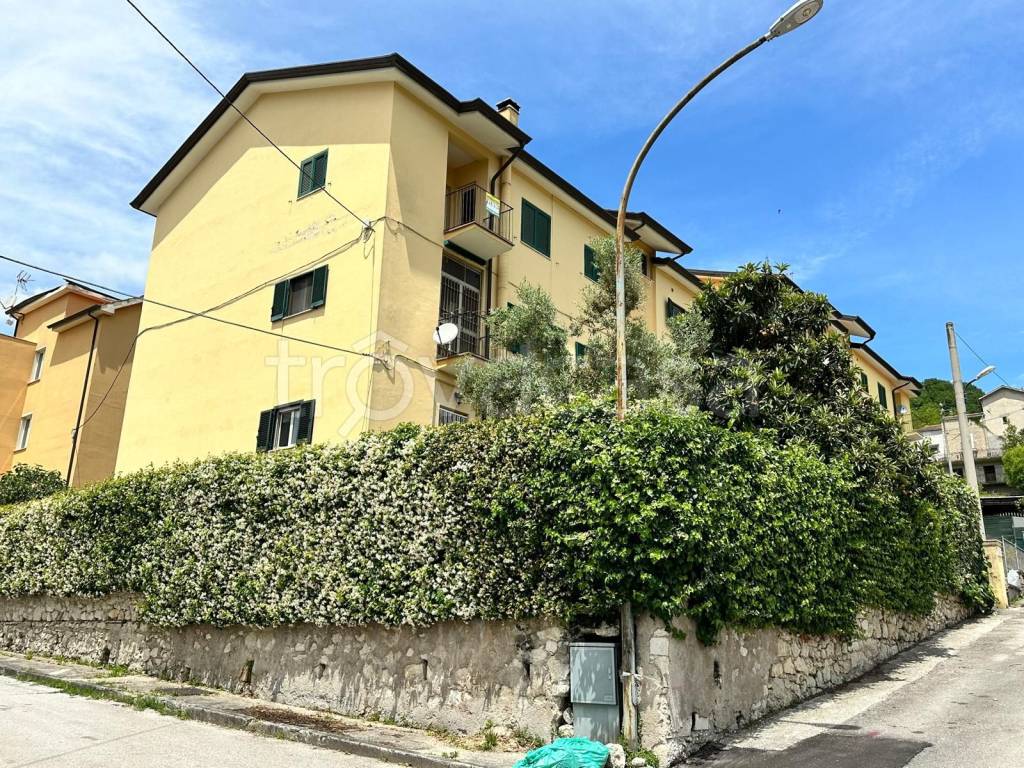 immagine annuncio 2 di 14