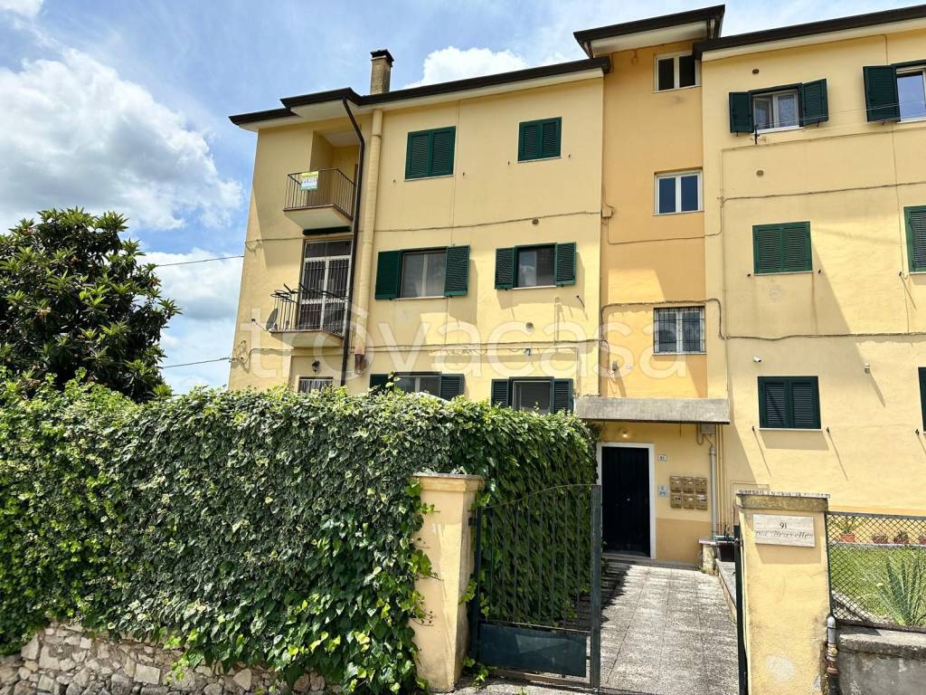 immagine annuncio 4 di 14