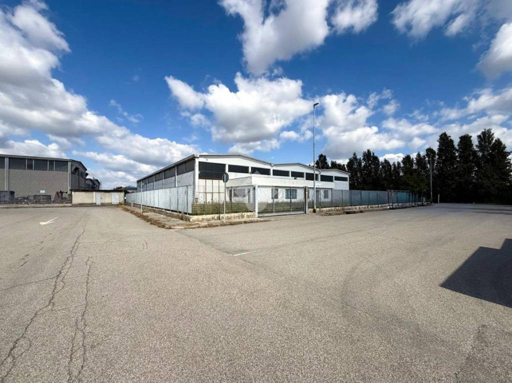 immagine annuncio 3 di 15