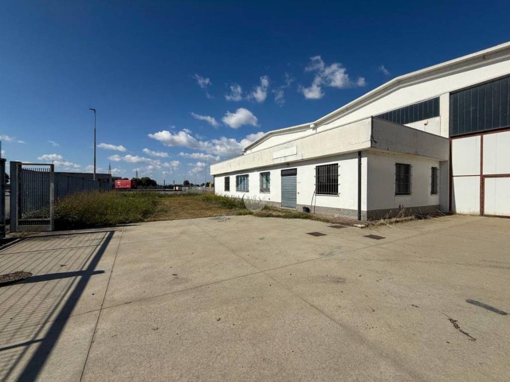 immagine annuncio 11 di 15