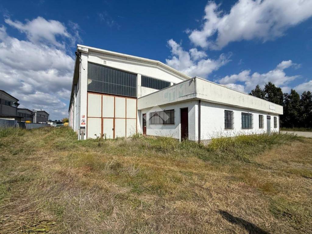 immagine annuncio 12 di 15