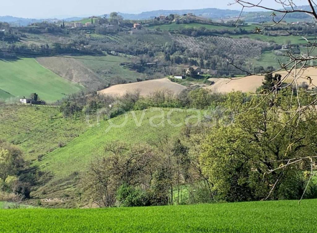 immagine annuncio 6 di 9