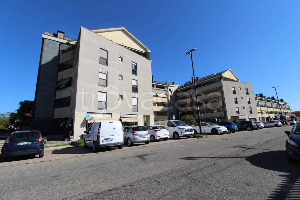 immagine annuncio 6 di 15