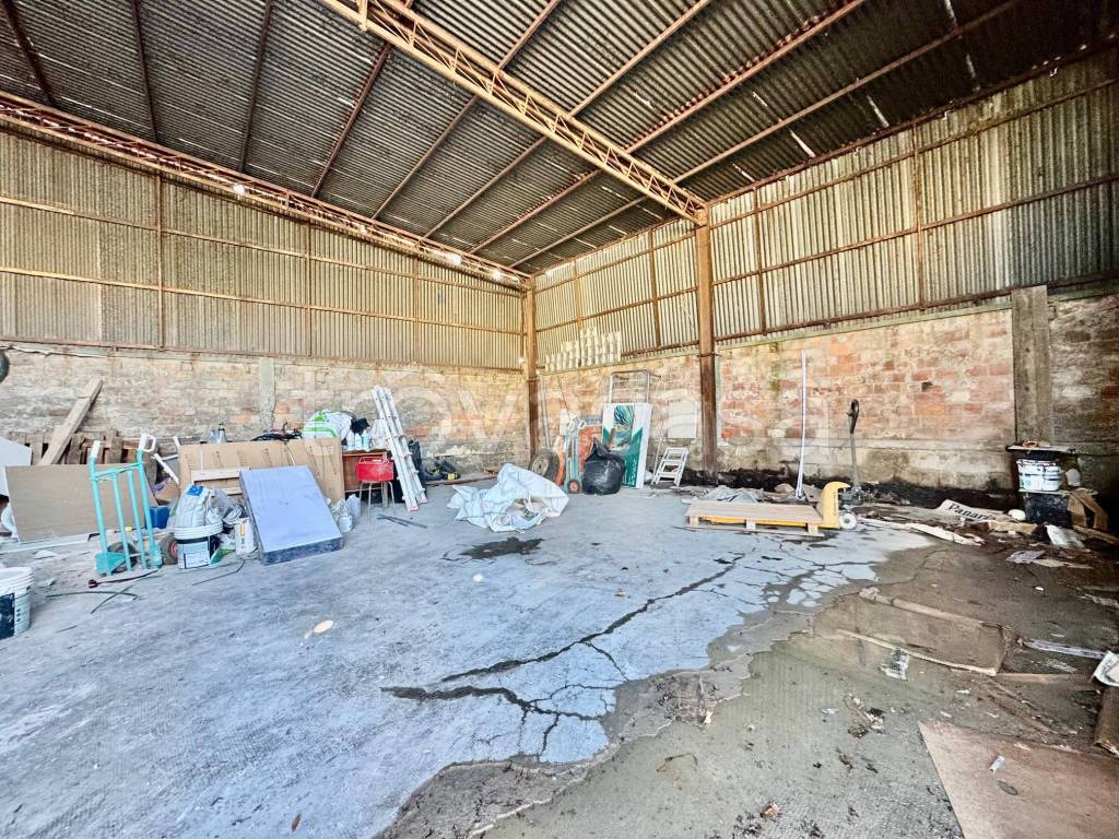 immagine annuncio 3 di 11