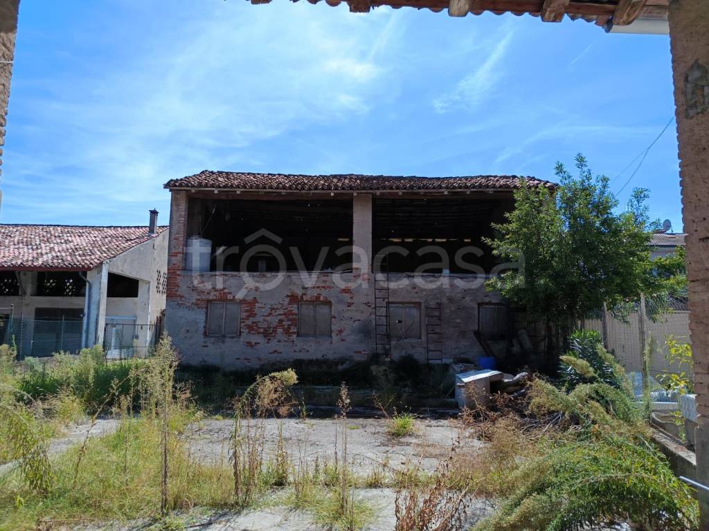 immagine annuncio 8 di 12