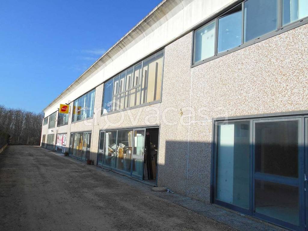 immagine annuncio 14 di 15