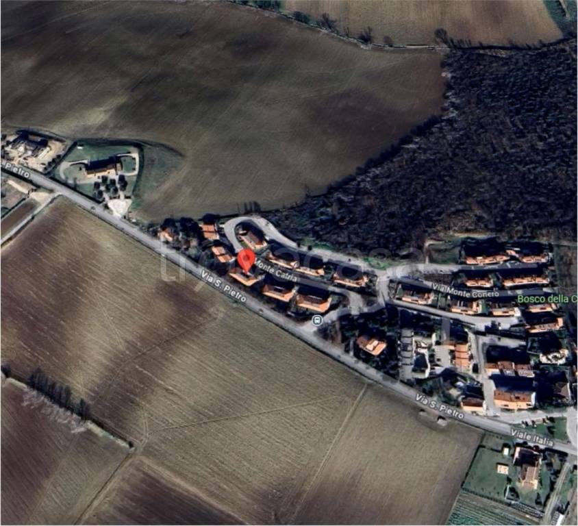 immagine annuncio 11 di 12