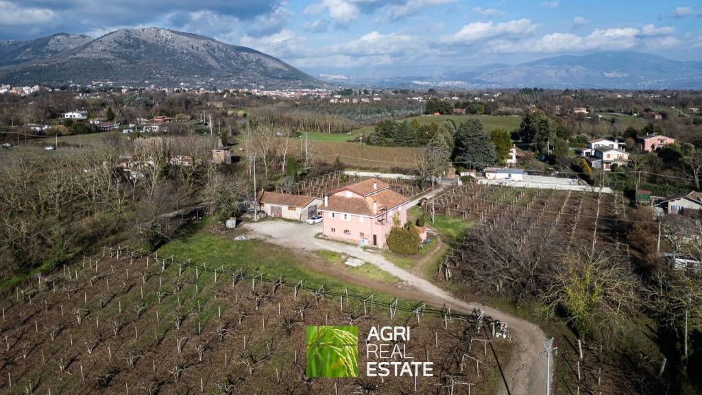 immagine annuncio 2 di 14