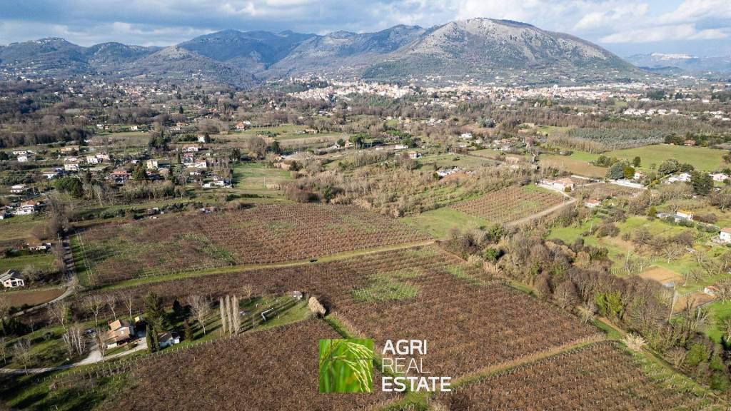 immagine annuncio 8 di 14