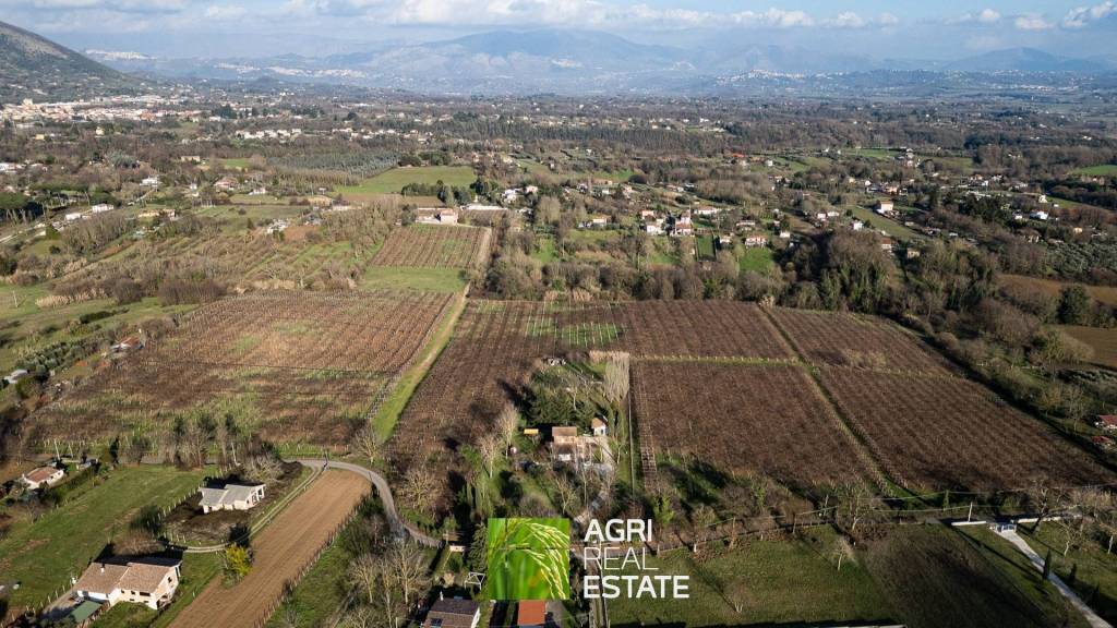 immagine annuncio 10 di 14