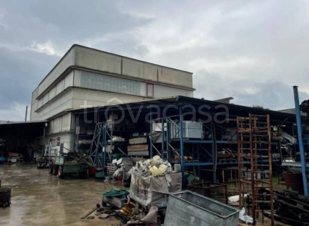 immagine annuncio 9 di 15