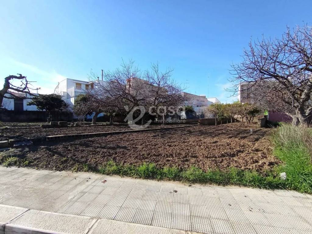 immagine annuncio 1 di 3