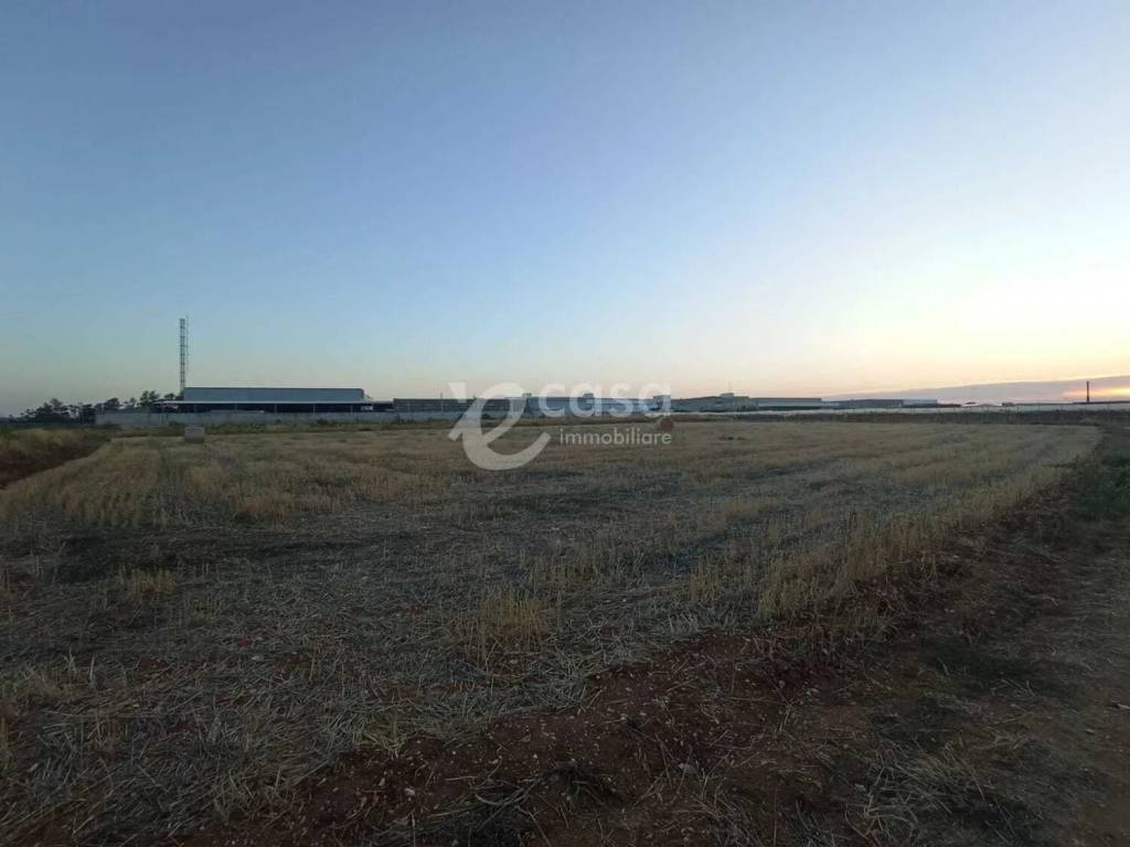 immagine annuncio 1 di 2