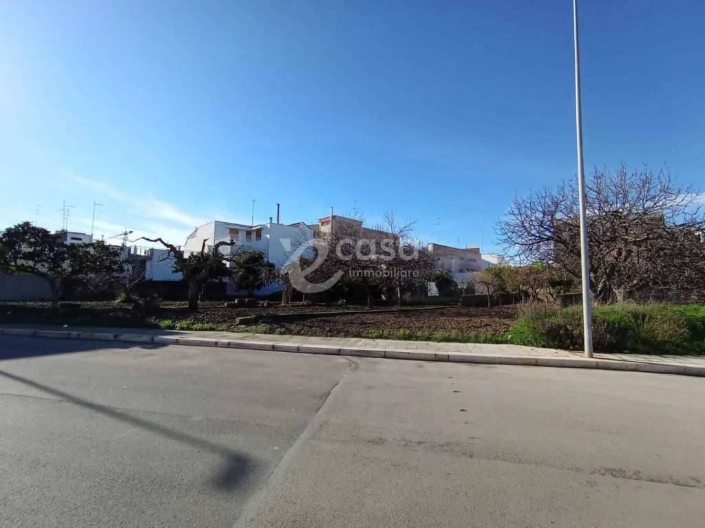 immagine annuncio 2 di 3