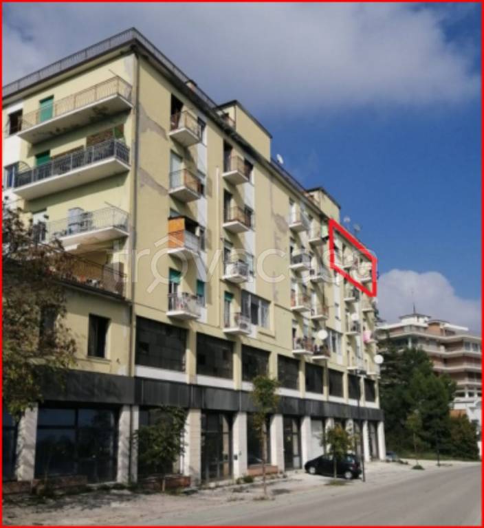 immagine annuncio 1 di 14