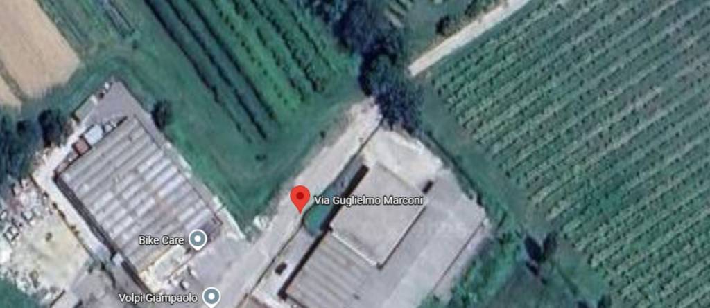 immagine annuncio 2 di 11