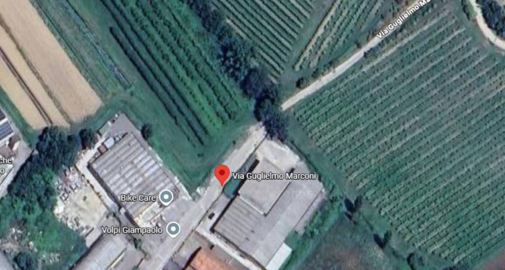 immagine annuncio 3 di 11