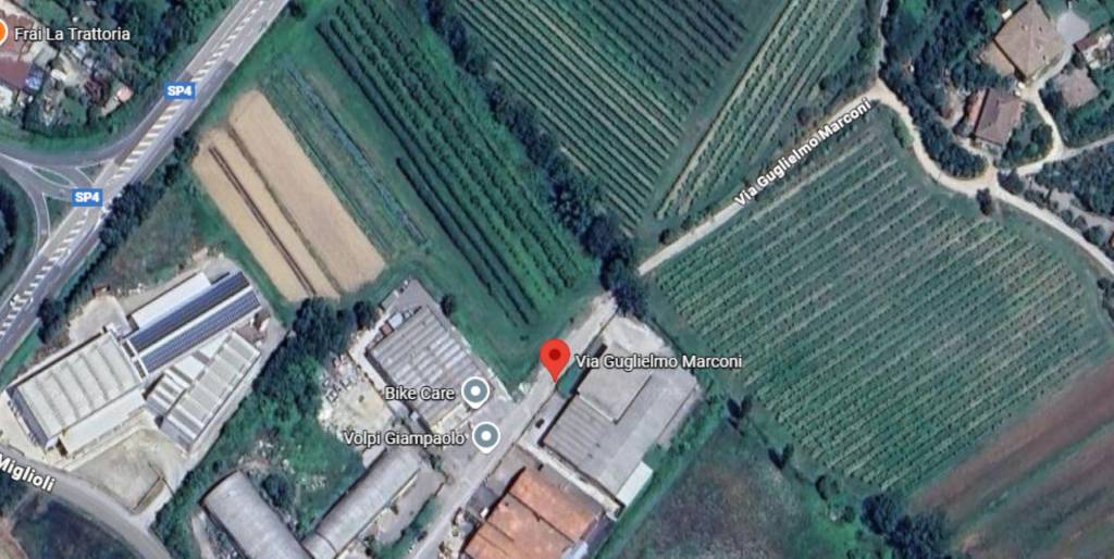 immagine annuncio 4 di 11