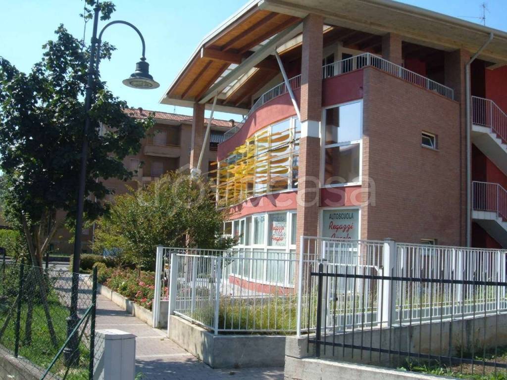 immagine annuncio 5 di 9
