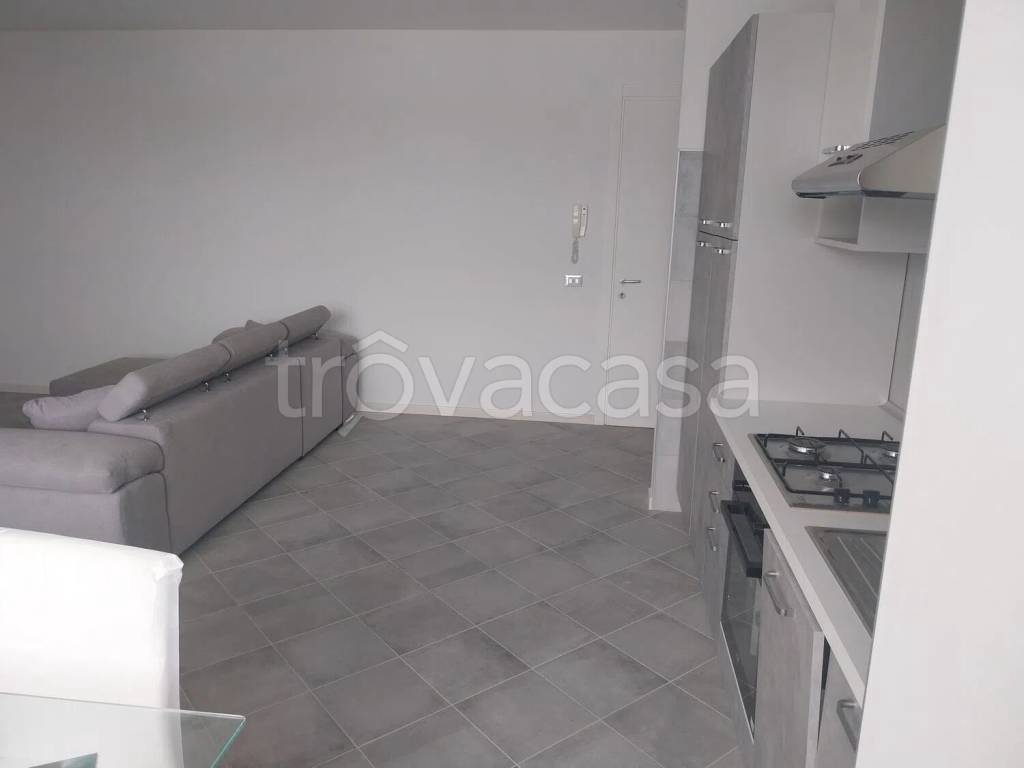 immagine annuncio 4 di 12