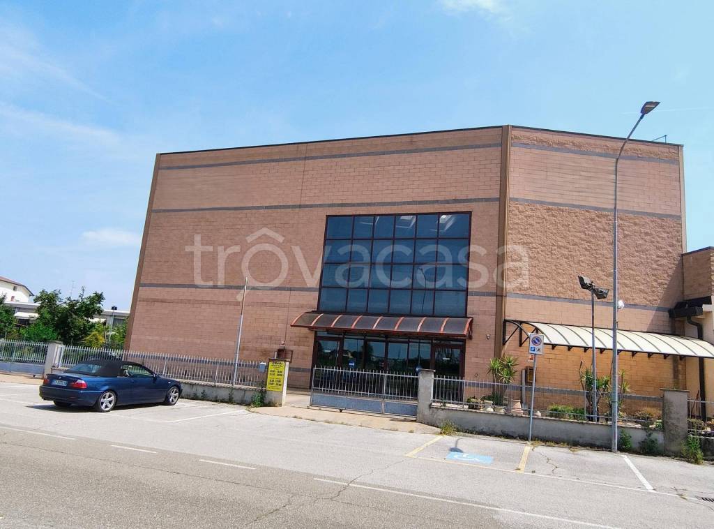 immagine annuncio 3 di 13