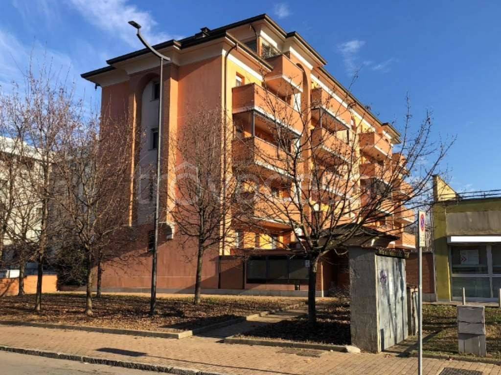 immagine annuncio 1 di 11