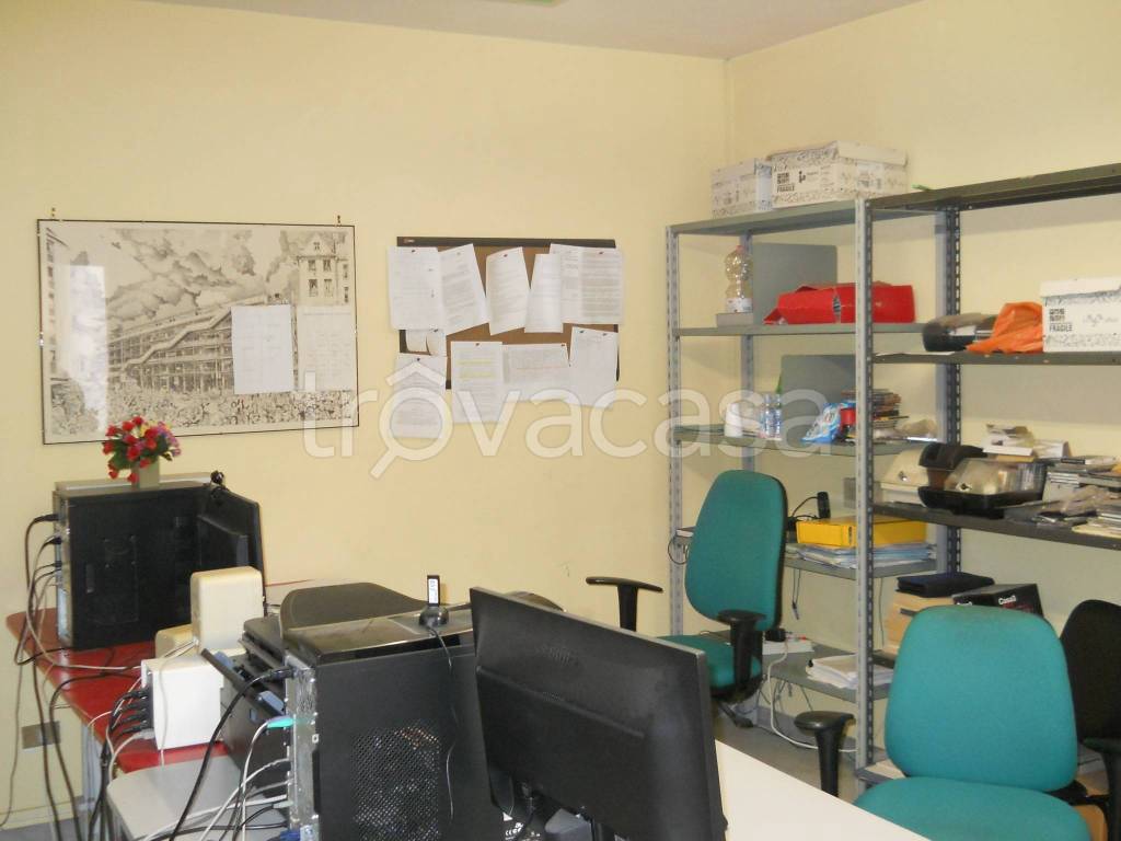 immagine annuncio 9 di 15