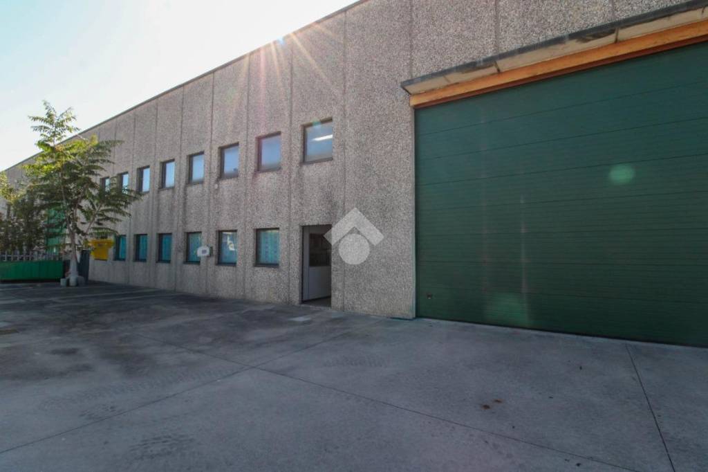 immagine annuncio 12 di 15