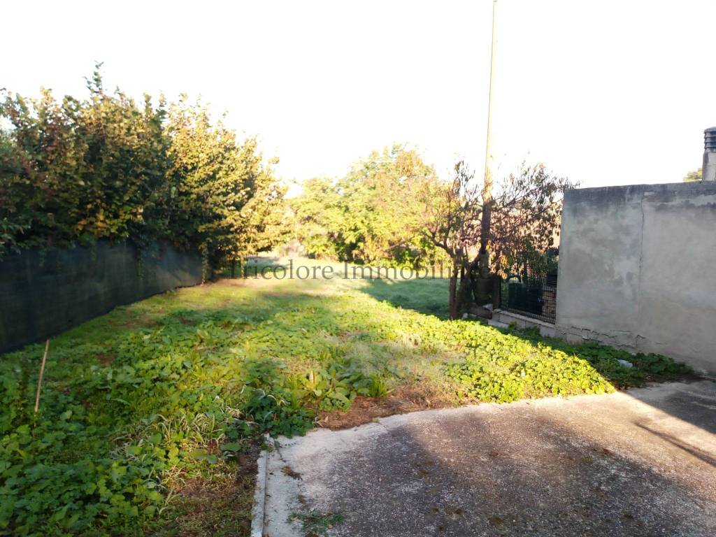 immagine annuncio 2 di 14