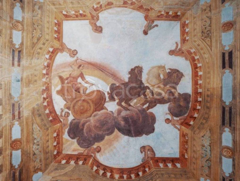 immagine annuncio 10 di 14