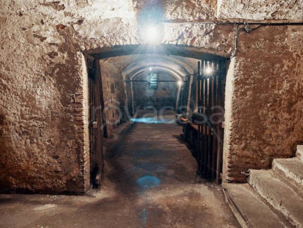 immagine annuncio 11 di 14