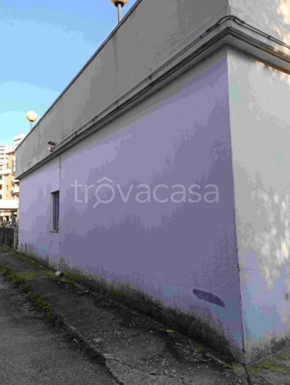 immagine annuncio 5 di 12