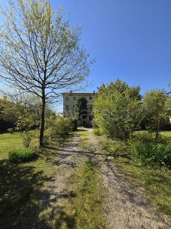 immagine annuncio 13 di 14