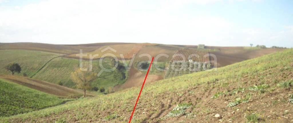 immagine annuncio 6 di 12