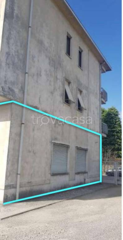 immagine annuncio 5 di 11