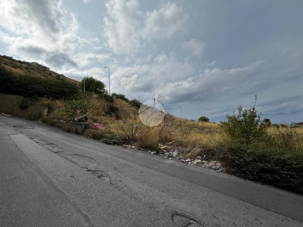 immagine annuncio 5 di 12