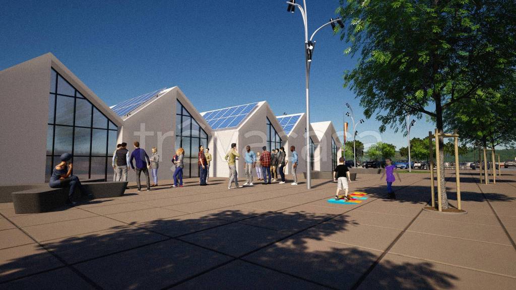 immagine annuncio 1 di 15