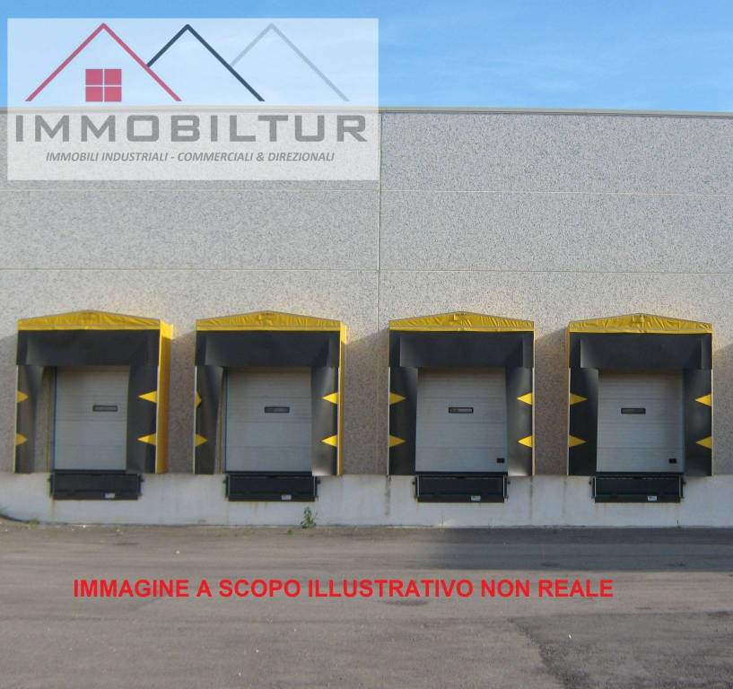 immagine annuncio 4 di 7