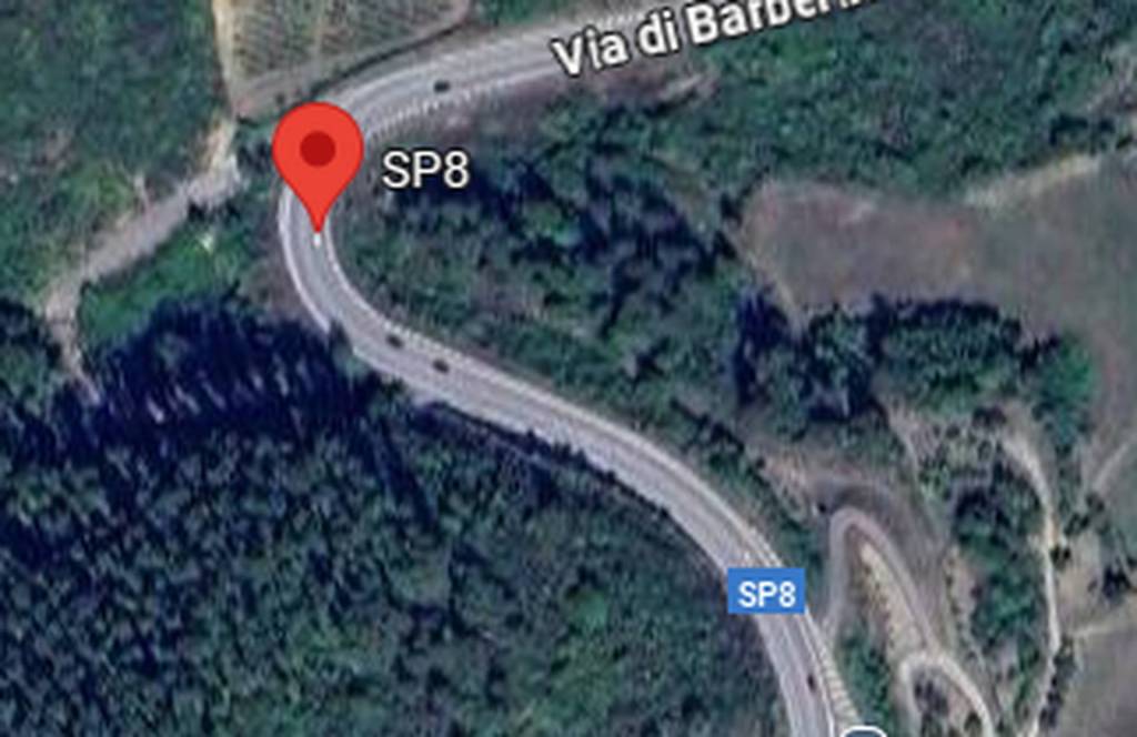 immagine annuncio 12 di 13