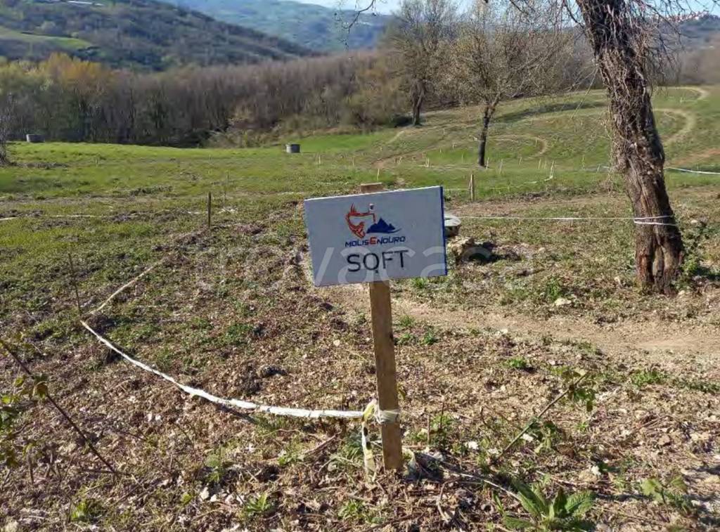 immagine annuncio 5 di 11