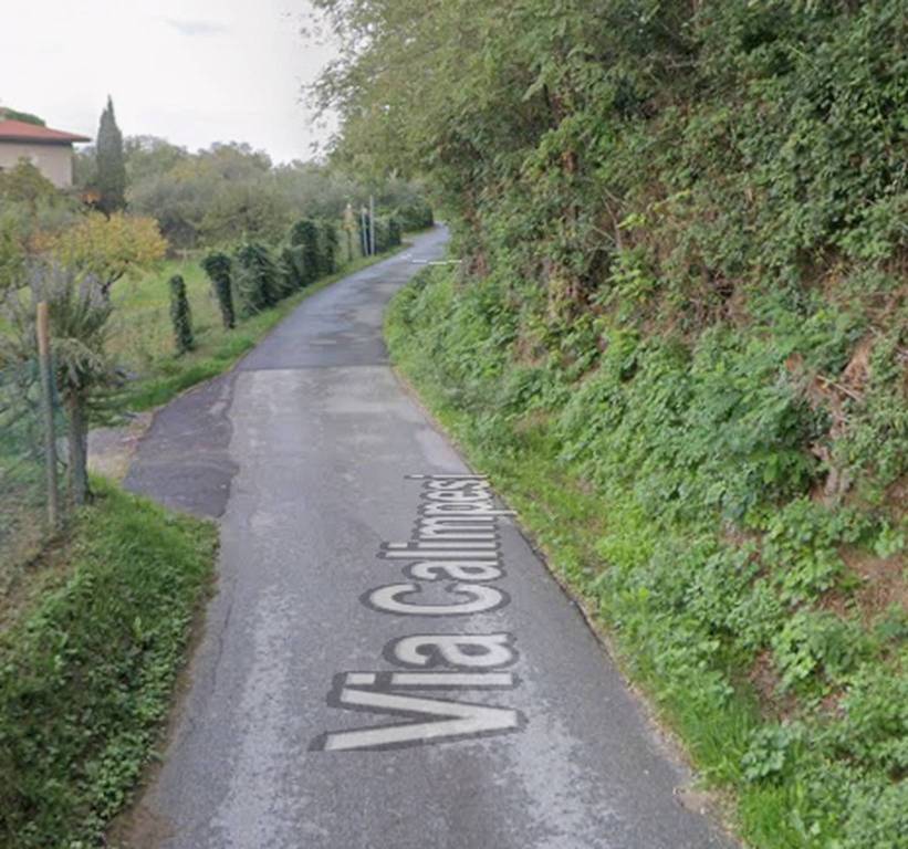 immagine annuncio 9 di 12
