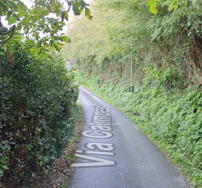 immagine annuncio 10 di 12