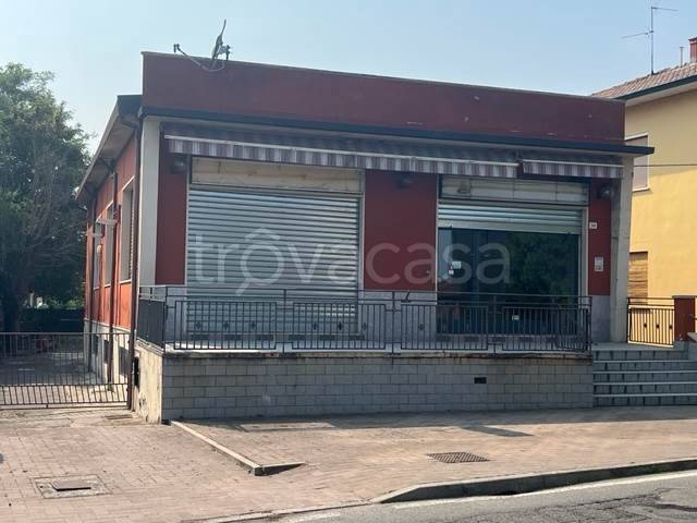 immagine annuncio 1 di 14