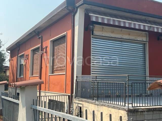 immagine annuncio 2 di 14