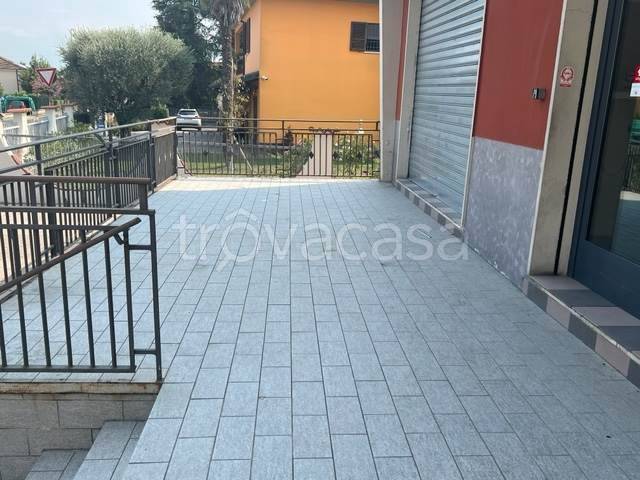 immagine annuncio 4 di 14