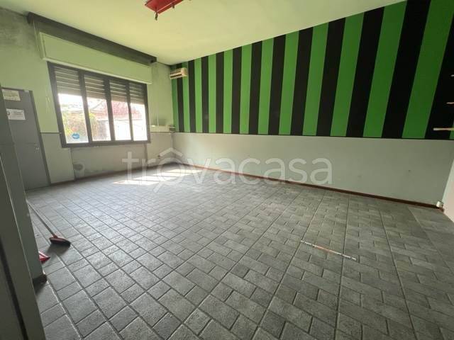 immagine annuncio 10 di 14