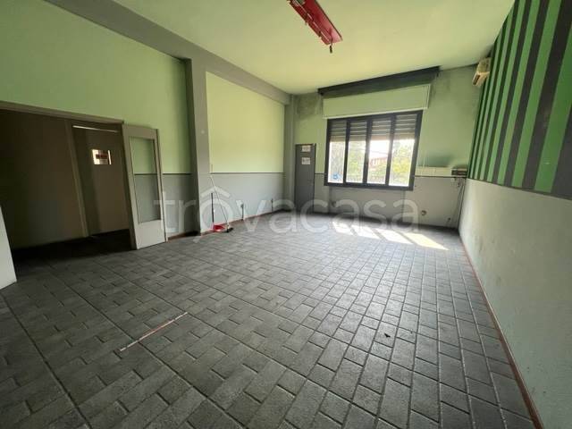 immagine annuncio 11 di 14