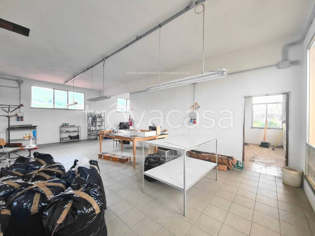 immagine annuncio 5 di 9