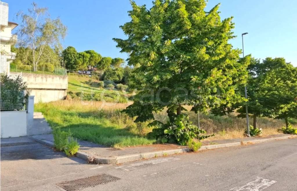 immagine annuncio 2 di 11